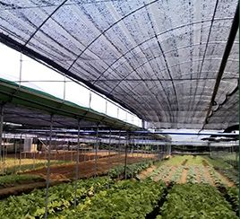 Dans le domaine de l'agriculture