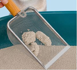 Fournitures pour animaux de compagnie et animal de compagnie